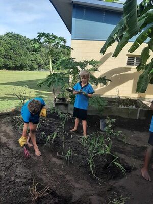 Students at Wonga Beach State School’s Food Garden
